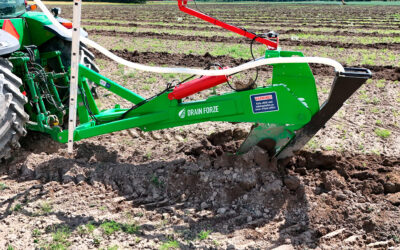 Drain Forze inleder samarbete med Dataväxt